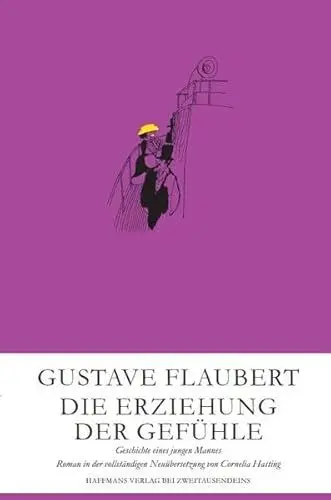 Produktbild: Die Erziehung der Gefühle: Geschichte eines jungen Mannes