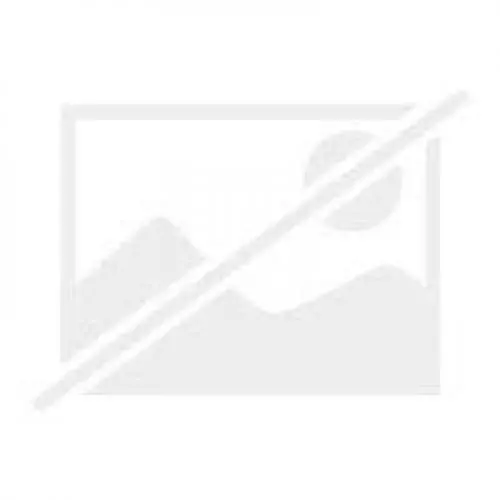 Produktbild: Funktionelle Anatomie: Knochen - Gelenke - Muskeln (Studienbrief der Trainerakademie Köln des Deutschen Sportbundes)