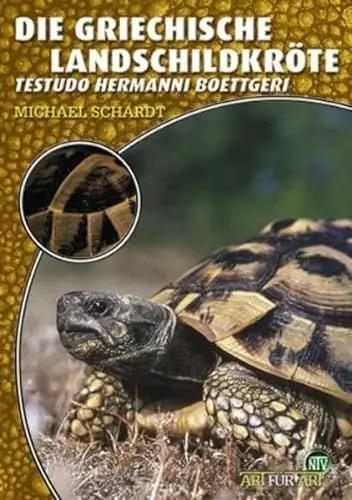 Produktbild: Die Griechische Landschildkröte: Testudo hermanni boettgeri (Buchreihe Art für Art Terraristik)