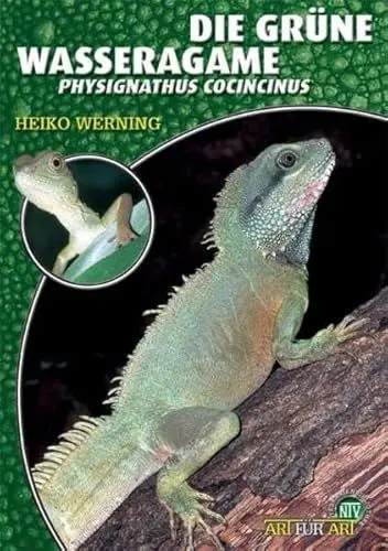 Produktbild: Die Grüne Wasseragame: Physignathus cocincinus (Buchreihe Art für Art Terraristik)