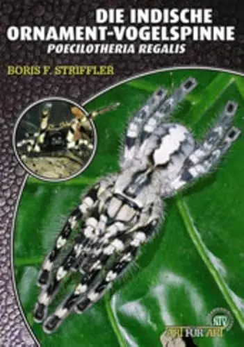 Produktbild: Die Indische Ornamentvogelspinne: Poecilotheria regalis: Poecilotheria Regalis. Art für Art (Buchreihe Art für Art Terraristik)