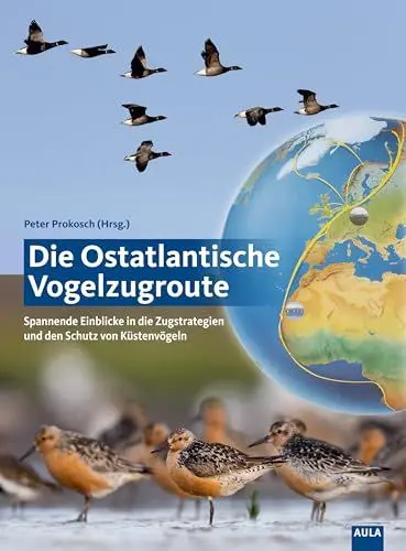 Produktbild: Die Ostatlantische Vogelzugroute: Spannende Einblicke in die Zugstrategien und den Schutz von Küstenvögeln