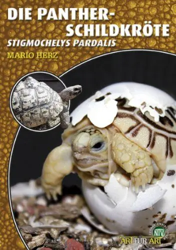 Produktbild: Die Pantherschildkröte: Stigmochelys pardalis