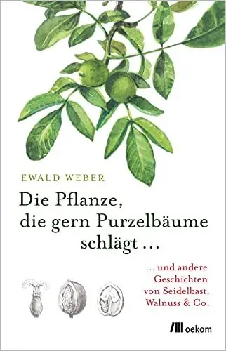 Produktbild: Die Pflanze, die gern Purzelbäume schlägt …: …und andere Geschichten von Seidelbast, Walnuss & Co.