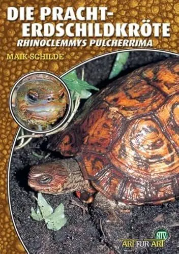 Produktbild: Die Pracht-Erdschildkröte: Rhinoclemmys pulcherrima (Buchreihe Art für Art Terraristik)