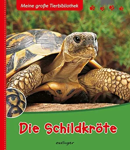 Produktbild: Die Schildkröte (Meine große Tierbibliothek)