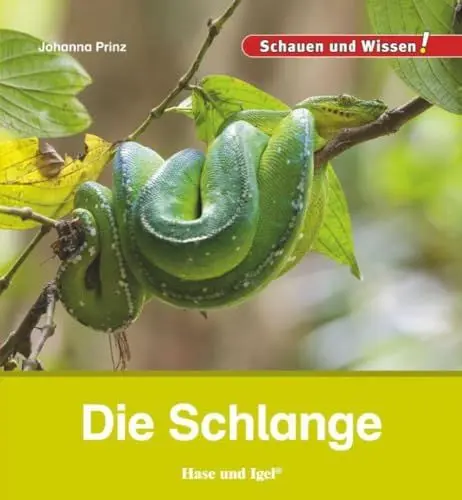 Produktbild: Die Schlange: Schauen und Wissen!