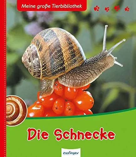 Produktbild: Die Schnecke (Meine große Tierbibliothek)