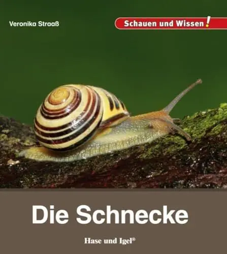 Produktbild: Die Schnecke: Schauen und Wissen!