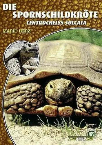 Produktbild: Die Spornschildkröte: Centrochelys sulcata: Geochelone Sulcata (Buchreihe Art für Art Terraristik)