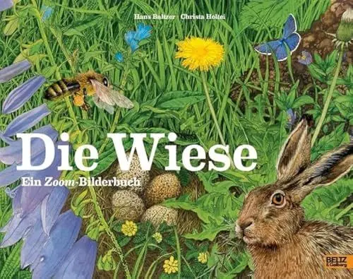 Produktbild: Die Wiese: Ein Zoom-Bilderbuch