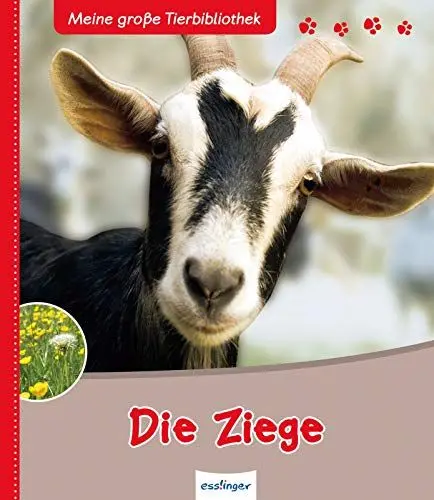 Produktbild: Die Ziege (Meine große Tierbibliothek)