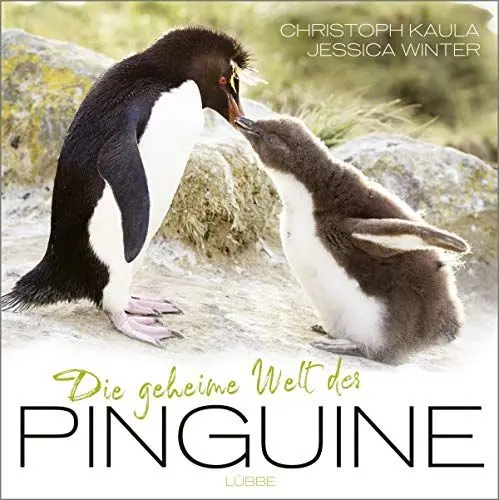 Produktbild: Die geheime Welt der Pinguine