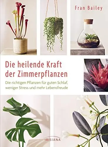Produktbild: Die heilende Kraft der Zimmerpflanzen: Die richtigen Pflanzen für guten Schlaf, weniger Stress und mehr Lebensfreude - für frische Luft, eine schnelle ... Kopf, mehr Aufmerksamkeit und Mitgefühl