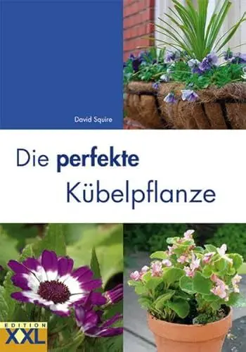 Produktbild: Die perfekte Kübelpflanze