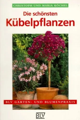 Produktbild: Die schönsten Kübelpflanzen