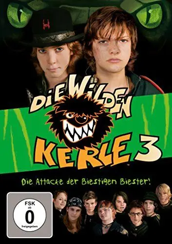 Produktbild: Die wilden Kerle 3