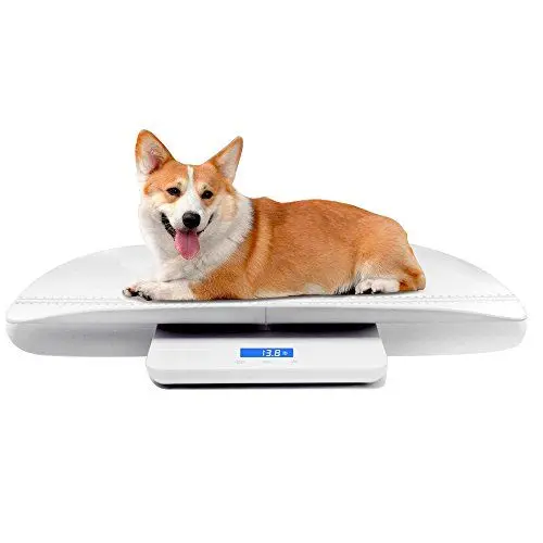 Produktbild: Digitale Haustierwaage, Babywaage, mit 3 Wiegemodi (kg/oz/lb), Max 220 lbs, Präzision bis zu 0.02lbs, Weiß