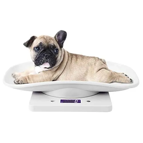 Produktbild: Digitale Tierwaage, Pet Weight Scale 10kg/1g Digitale kleine Katzen Hunde Messwerkzeug Elektronische Küchenwaage für Kleinkinder Small Puppy Cat Dog