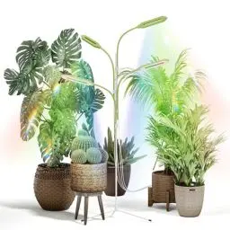 Produktbild: Diivoo Intelligente Pflanzenlampe Led Vollspektrum 4 Köpfe, Bluetooth Indoor Grow Light mit 3-Bein-Ständer, Verstellbarem Schwanenhalsrohr, 10 Einstellbaren Helligkeitsstufen, 4/8/12 Timer