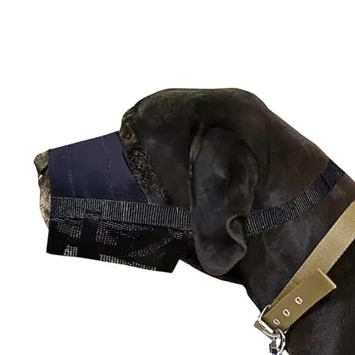 Produktbild: Dingo Weiches Nylon Maulkorb mit atmungsaktivem Netz Rottweiler Hund, Deutsche Dogge, Deutscher Schäferhund, Kurzzeit-Tierarzt-Maulkorb, Verstellbarer Halsgurt, Schwarz 16777-2