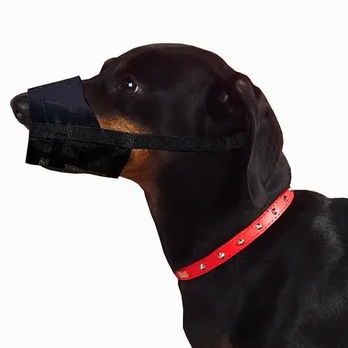 Produktbild: Dingo Weiches Nylon Maulkorb mit atmungsaktivem Netz für kleine Rassen, Welpen, Jack Russel Terier Dackel Verstellbarer Halsgurt, Schwarz 16773-2