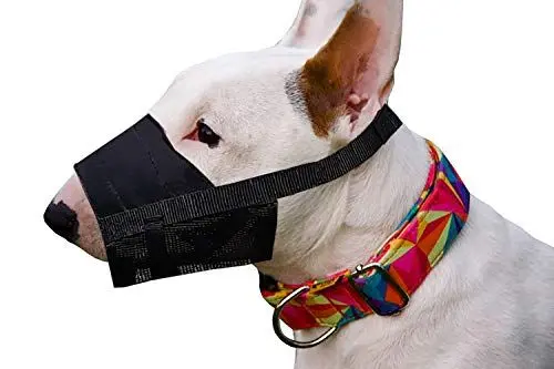 Produktbild: Dingo Weiches Nylon Maulkorb mit atmungsaktivem Netz für kleine Rassen, Welpen, Schnauzer Klein Parson Russel Terrier Pinczer Verstellbarer Halsgurt Schwarz 16774-2