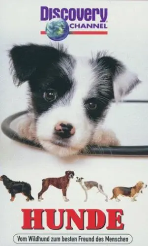 Produktbild: Discovery Channel - Hunde (VHS)