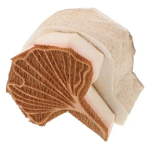 Produktbild: DIYEAH Töpferwerkzeuge Töpfertonstempel Plätzchen-Stempel Stempel mit Blumenmuster Textilstempel Stempel für Keramik Keramikstempel unterlack Blattvorlagen Zeitschriftenstempel Schwamm