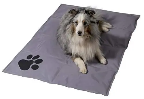 Produktbild: dobar® 60422 Kühlmatte für Hunde - Hundekühlmatte für Hund & Katze - selbstkühlende Matte für Haustiere - Hundedecke mit Kaltgel-Füllung - Kühldecke - 99,5 x 70 cm - Grau