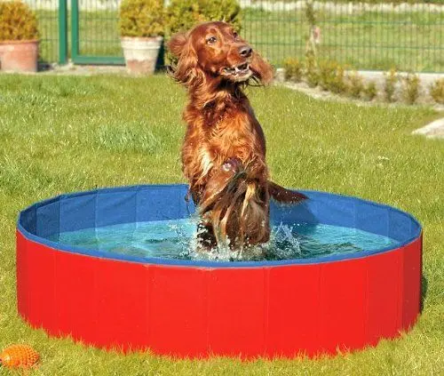 Produktbild: DOGGY POOL der Swimmingpool für Hunde - 120 cm
