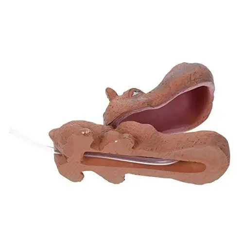 Produktbild: DOITOOL Aquarium Harz Nilpferd Handwerk Fisch Tank Ornament Fisch Tank Landschaft Höhle