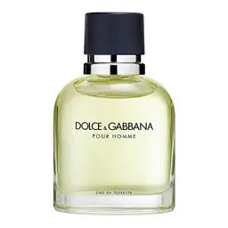 Produktbild: Dolce & Gabbana Homme, homme/man, Eau de Toilette, 1er Pack (1 x 125 ml)