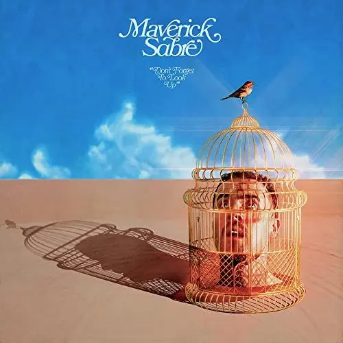 Produktbild: Don't Forget To Look Up (Vinyl LP)