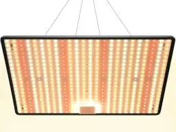 Produktbild: DragonLight 2024 Neueste HW3000 Pflanzenlampe LED Vollspektrum, Groß LED Grow Lampe 504 Dioden mit 3-Meter-Kabel für Gewächshaus und Zimmerpflanzen Gemüse und Blumenanbau für Growzelt 60x60cm 90x90cm