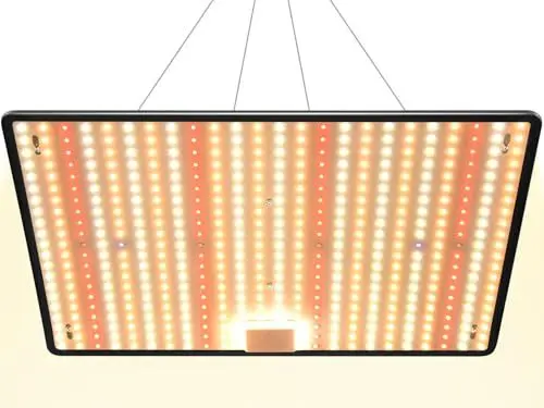 Produktbild: DragonLight 2024 Neueste HW3000 Pflanzenlampe LED Vollspektrum, Groß LED Grow Lampe 504 Dioden mit 3-Meter-Kabel für Gewächshaus und Zimmerpflanzen Gemüse und Blumenanbau für Growzelt 60x60cm 90x90cm