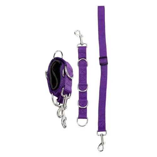 Produktbild: DRESSOOS Haustier 3st Haustierpflegeseil Helfer Bei Der Zubehör Für Den Pflegetisch Haustierpflegeschleife Für Hunde Pflegeseile Gürtel Polypropylen Leinen Violett Der Hund Haustiere