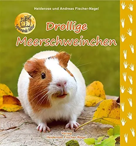 Produktbild: Drollige Meerschweinchen