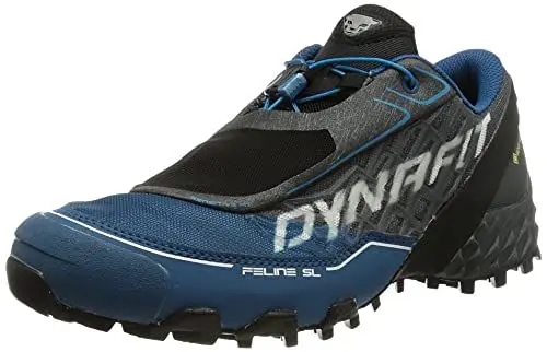 Produktbild: Dynafit Herren Feline Sl GTX Laufschuhe, Kohlenstoff, Frost, 44 EU