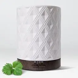 Produktbild: Earnest Living Ätherisches Öl Diffusor Weiß Keramik Diffusor 250ml Timer Nachtlichter und Auto Off Funktion Home Office Aromatherapie Diffusoren für ätherische Öle Geschenk