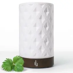 Produktbild: Earnest Living Diffusor für ätherische Öle für Zuhause Weißer Keramik-Aromatherapie-Diffusor 100 ml Auto-Off-ätherische Öle für Diffusoren Elektrischer Aroma-Diffusor Geschenk