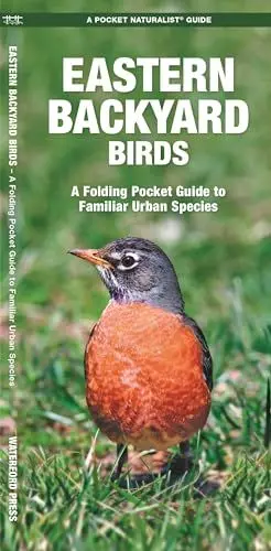 Produktbild: Eastern Backyard Birds: A Folding Pocket Guide to Familiar Urban Species: An Introduction to Familiar Urban Species (Wildlife and Nature Identification)