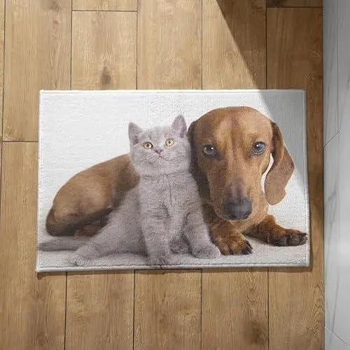 Produktbild: EHOMERY Fußmatte Außen Schmal und Lang Türmatte Camping Hund Katze Schmutzfangmatte Farbig Fussmatte Badezier 45x75cm, rutschfeste Dekorative Fußmatte Aus Plüschbaumwolle