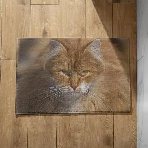 Produktbild: EHOMERY Fußmatte Lang Schmal Schmale Türmatte Für Außen Katze rutschfeste Fußmatte Innen Türmatte Familie 50x80cm, rutschfeste Dekorative Fußmatte Aus Plüschbaumwolle