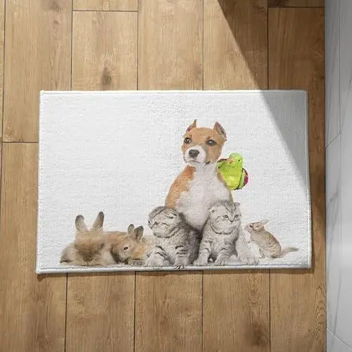 Produktbild: EHOMERY Fußmatte Lustig Türmatte Außen Lustig Katzen und Hunde Fußmatte Innen Waschbar Motiv Große Fussmatte Aussen 40x60cm, rutschfeste Dekorative Fußmatte Aus Plüschbaumwolle