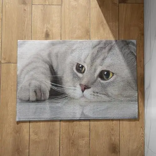 Produktbild: EHOMERY Fußmatte Motiv Fussmatte Aussen Personalisiert Gross Katze Schmutzfangmatte Innen Dünn Muster Türmatte Extra Dünn 40x60cm,