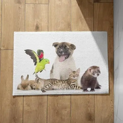 Produktbild: EHOMERY Fußmatte Waschbar rutschfest Türmatte Personalisiert Katzen und Hunde Fußmatte Witzig Türmatte Außen 50x80cm, rutschfeste Dekorative Fußmatte Aus Plüschbaumwolle