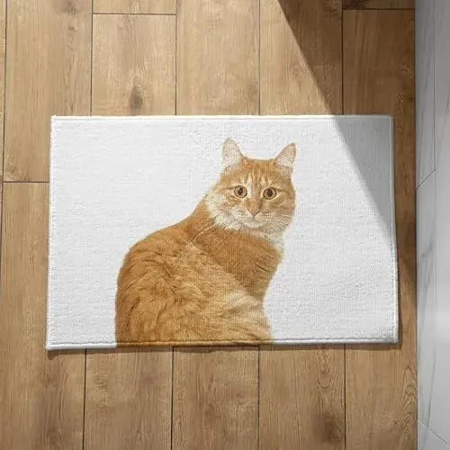Produktbild: EHOMERY Lustige Fußmatte Personalisiert Türmatte Außen Katze Schmutzfangmatte Waschbar rutschfest Fussmatte Aussen Bunt Waschbar 50x80cm,