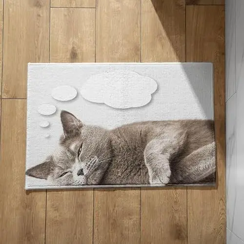 Produktbild: EHOMERY Schmutzfangmatte Innen Bunt Kleine Türmatte Katze Fußmatte Cool Schmale Türmatte Für Außen 45x75cm, rutschfeste Dekorative Fußmatte Aus Plüschbaumwolle