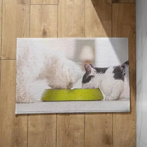 Produktbild: EHOMERY Schmutzfangmatte Innen Dünn One Piece Fussmatte Hund Katze Schmutzfangmatte Innen mit Motiv Groß Türmatte Motiv 40x60cm,